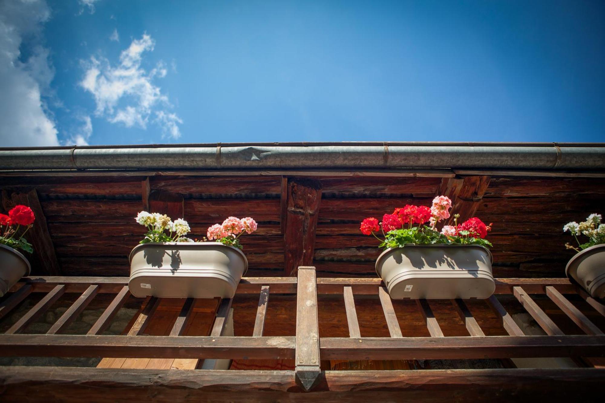 Marmotte Mountain Manor Villa Chamonix Exterior photo